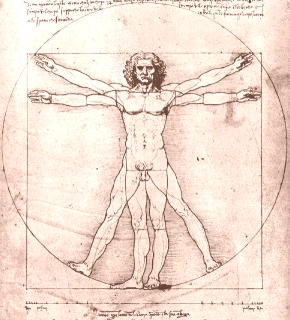  Leonardo DaVinci's Vitruvian Man 